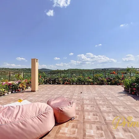 Primrose Apartment Veliko Tarnovo