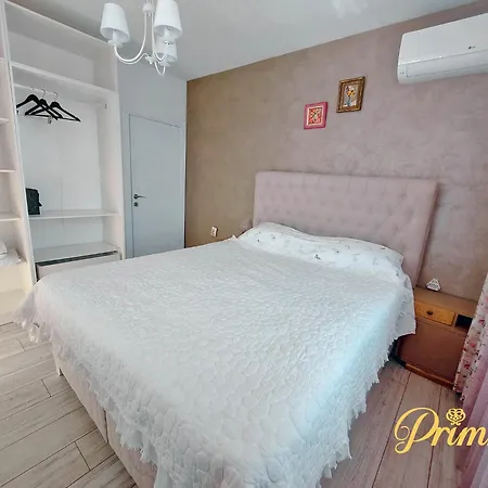 Primrose Veliko Tarnovo